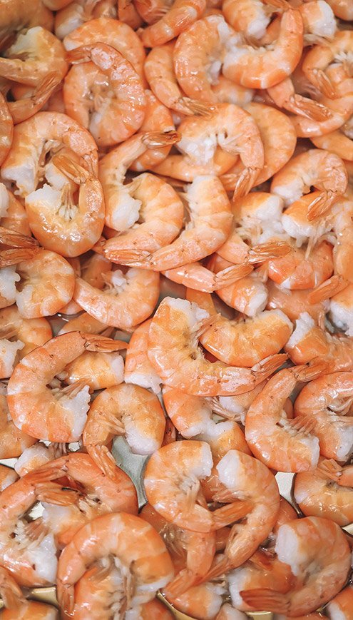 Cultivo de camarones