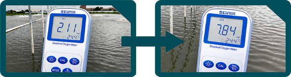 Proceso de optimización de cultivos de camarón de Oxyplus